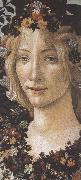 Sandro Botticelli Primavera (mk36) Spain oil painting artist